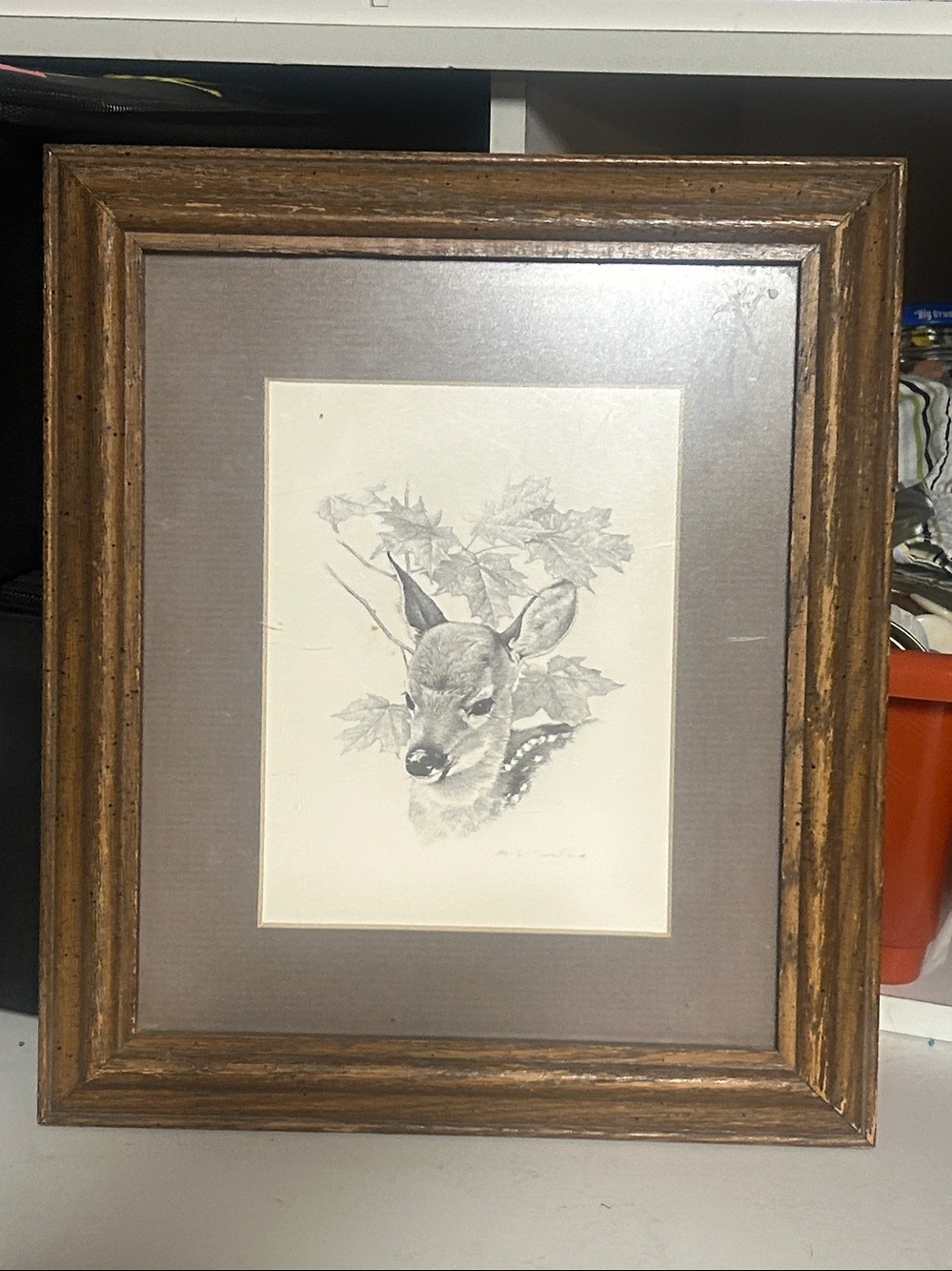 Framed Deer Sketch Wall Art in Brown and Taupe